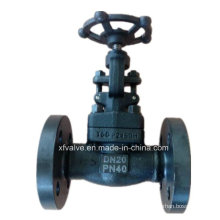 Forged Carbon Steel A105 Flange Connection End Globe Valve